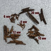 ���� 10 ��, �����, 10 ��.