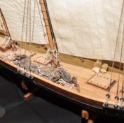 ������������ ������������ �����